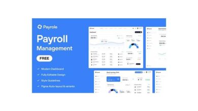 Modern payroll software dashboard displaying financial data.