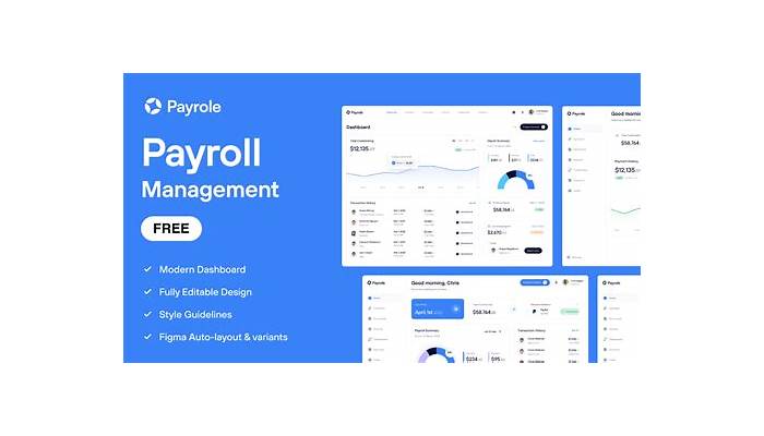 Modern payroll software dashboard displaying financial data.